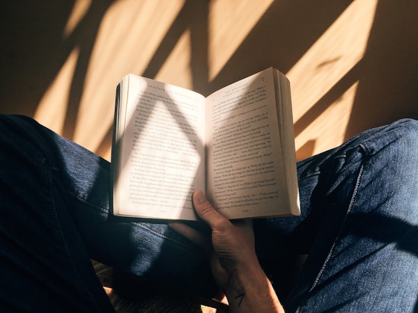 Fantasy book reading scene
